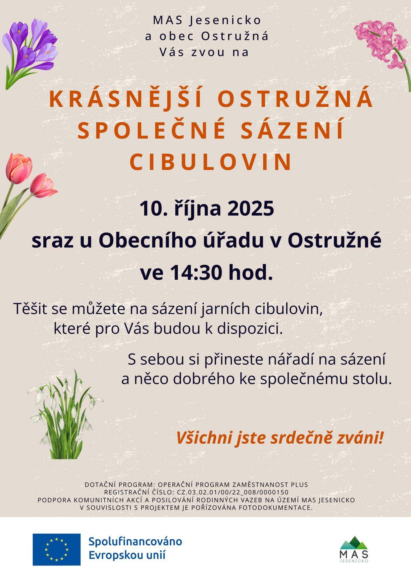 10.10. 2025 KRÁSNĚJŠÍ OSTRUŽNÁ - SPOLEČNÉ SÁZENÍ CIBULOVIN