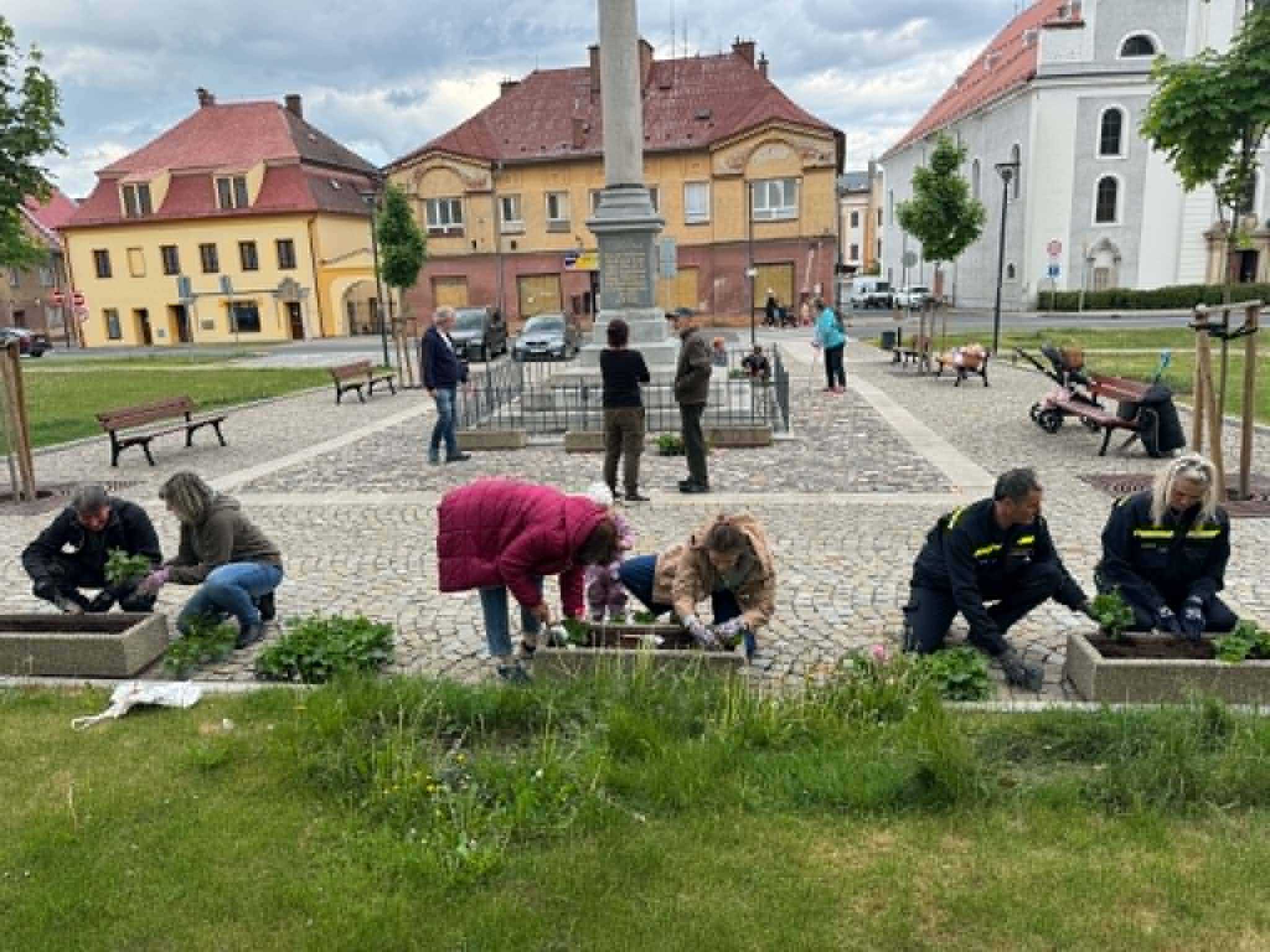 Květiny pro Javorník
