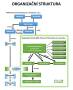 Organizační struktura